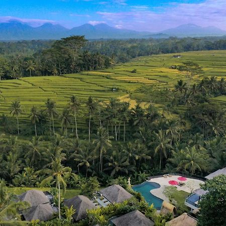 Puri Sebali Resort Убуд Экстерьер фото